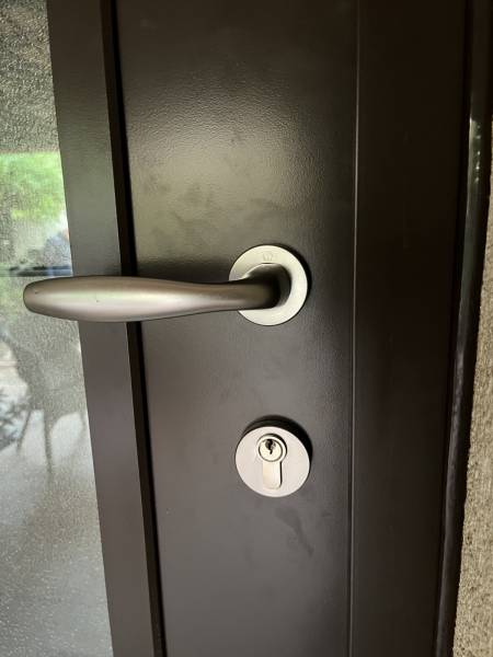 Poignée rosace Couleur Inox